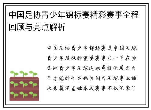中国足协青少年锦标赛精彩赛事全程回顾与亮点解析